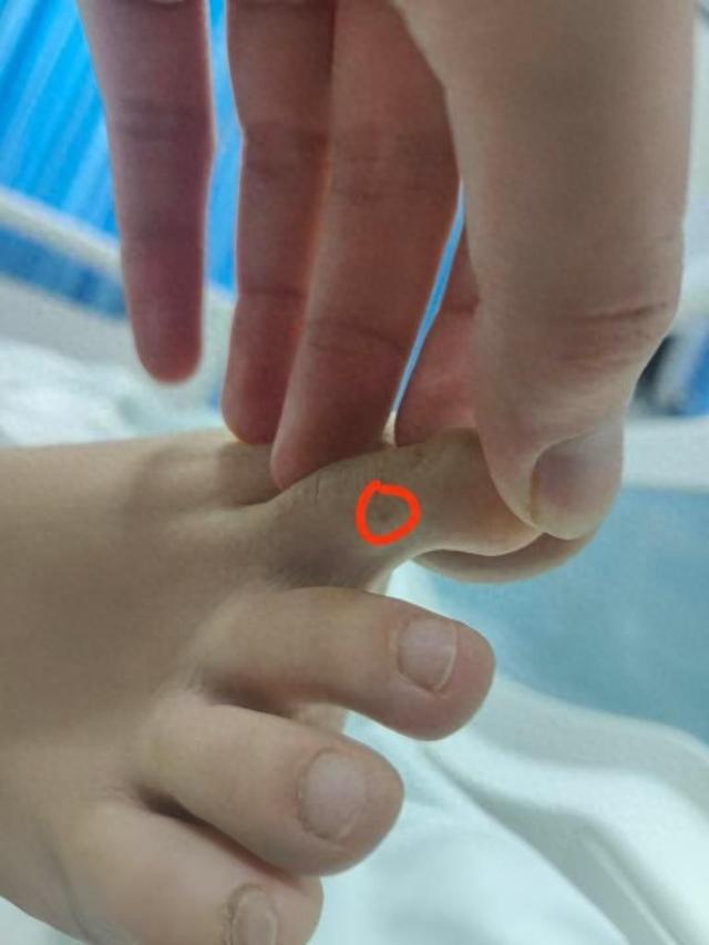 应质疑：没提任何索赔只希望调查清楚麻将胡了三亚身亡女游客堂姐直播回(图2)